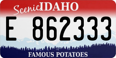 ID license plate E862333
