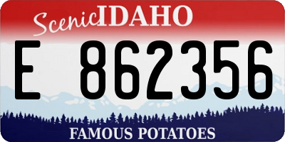 ID license plate E862356