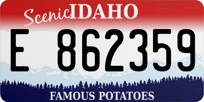 ID license plate E862359