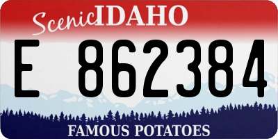 ID license plate E862384