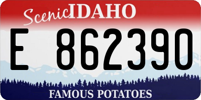 ID license plate E862390