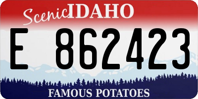 ID license plate E862423