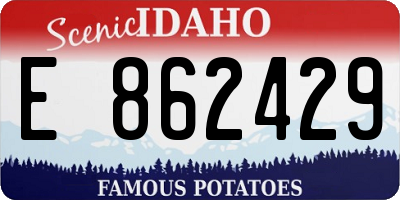 ID license plate E862429