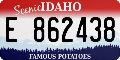 ID license plate E862438