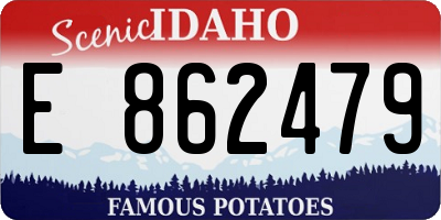 ID license plate E862479