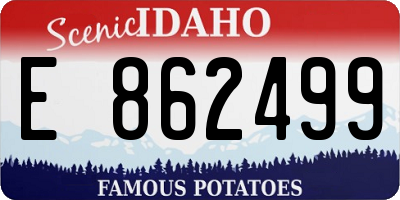 ID license plate E862499