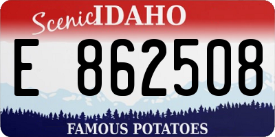 ID license plate E862508