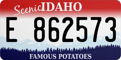 ID license plate E862573
