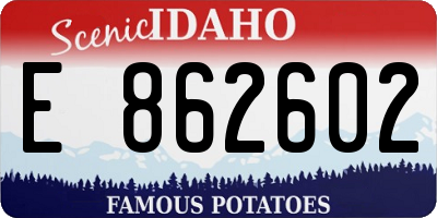 ID license plate E862602