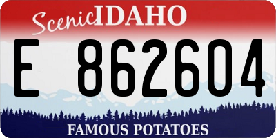 ID license plate E862604