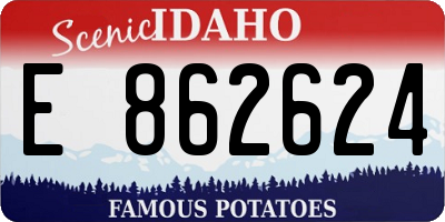 ID license plate E862624