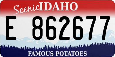 ID license plate E862677