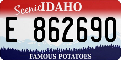 ID license plate E862690