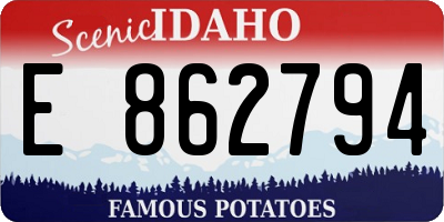 ID license plate E862794