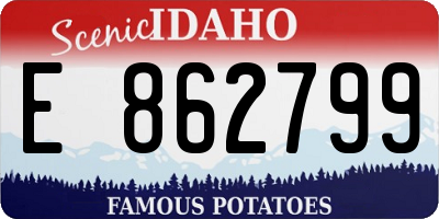 ID license plate E862799