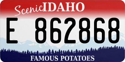 ID license plate E862868