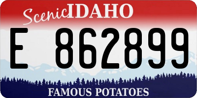 ID license plate E862899