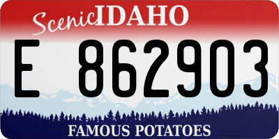 ID license plate E862903
