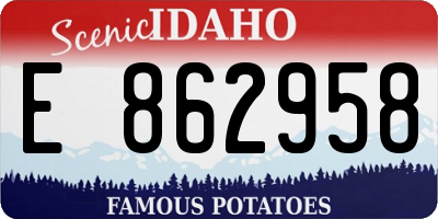 ID license plate E862958