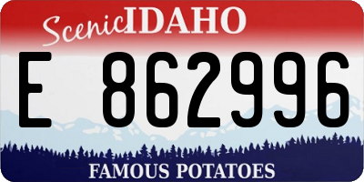 ID license plate E862996
