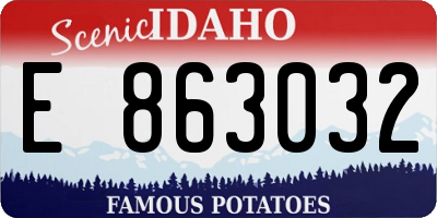 ID license plate E863032