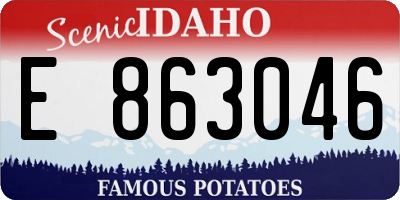 ID license plate E863046