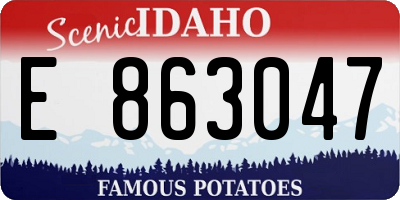 ID license plate E863047
