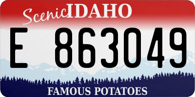 ID license plate E863049
