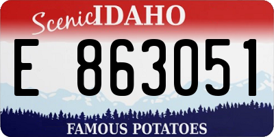 ID license plate E863051