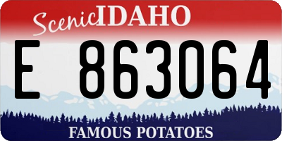 ID license plate E863064