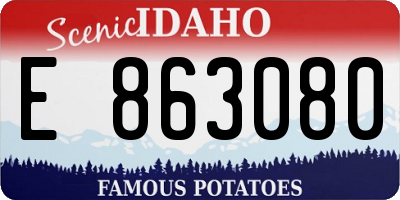 ID license plate E863080