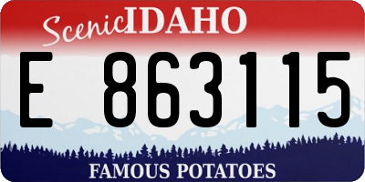 ID license plate E863115