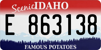 ID license plate E863138