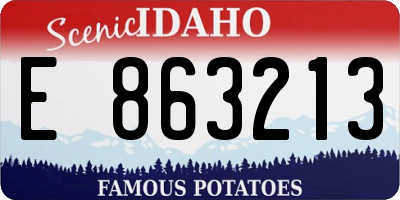 ID license plate E863213