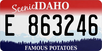 ID license plate E863246