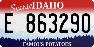 ID license plate E863290