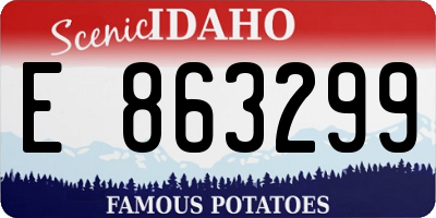 ID license plate E863299