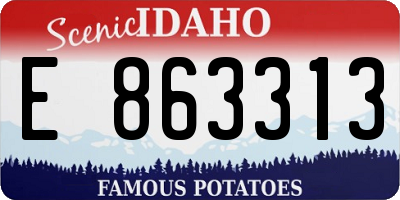 ID license plate E863313