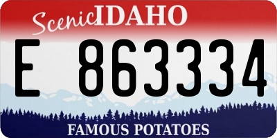 ID license plate E863334