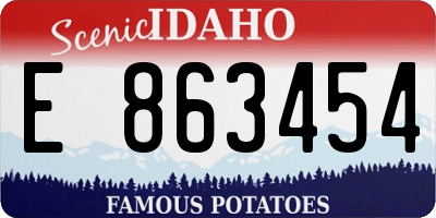 ID license plate E863454