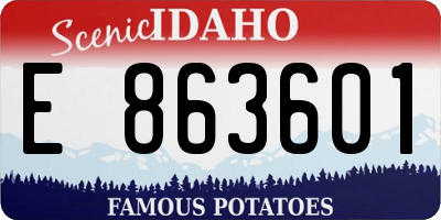 ID license plate E863601