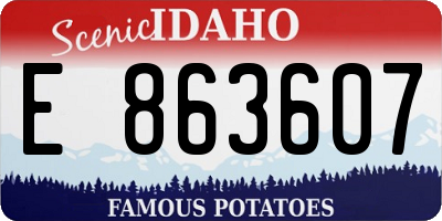 ID license plate E863607