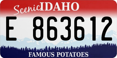 ID license plate E863612
