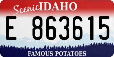ID license plate E863615