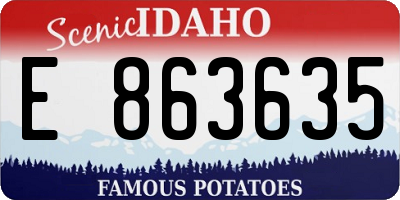 ID license plate E863635