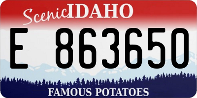ID license plate E863650