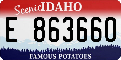 ID license plate E863660