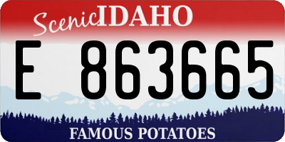 ID license plate E863665