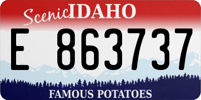 ID license plate E863737