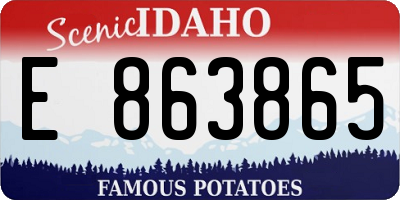 ID license plate E863865